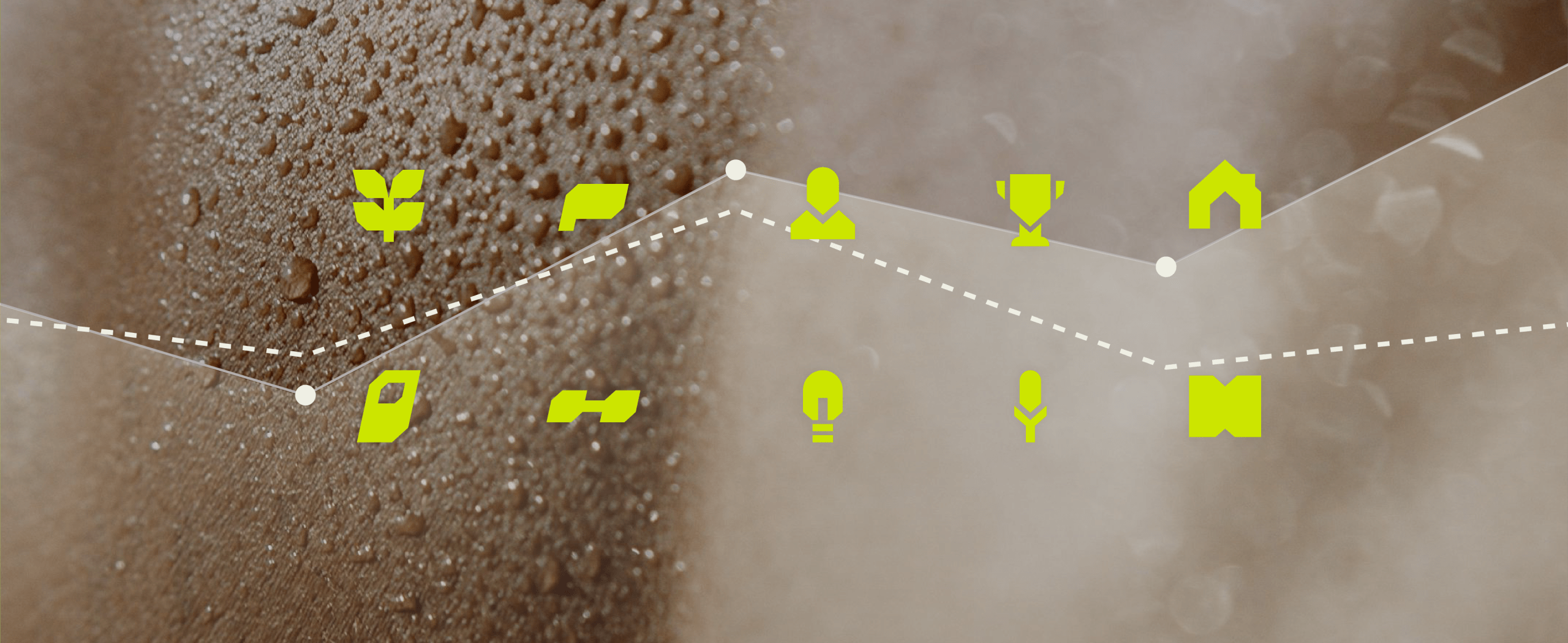 Übersicht der Icon-Bildsprache in Gelbgrün auf einer leicht unscharfen Nahaufnahme von verschwitzter Haut. Die icons stehen in zwei Reihen und zeigen von links nach rechts und oben nach unten: Eine Pflanze, eine Fahne, einen Torso, einen Pokal, ein Haus, eine Pille, eine Hantel, eine Glühbirne, ein Mikrofon und ein Buch.